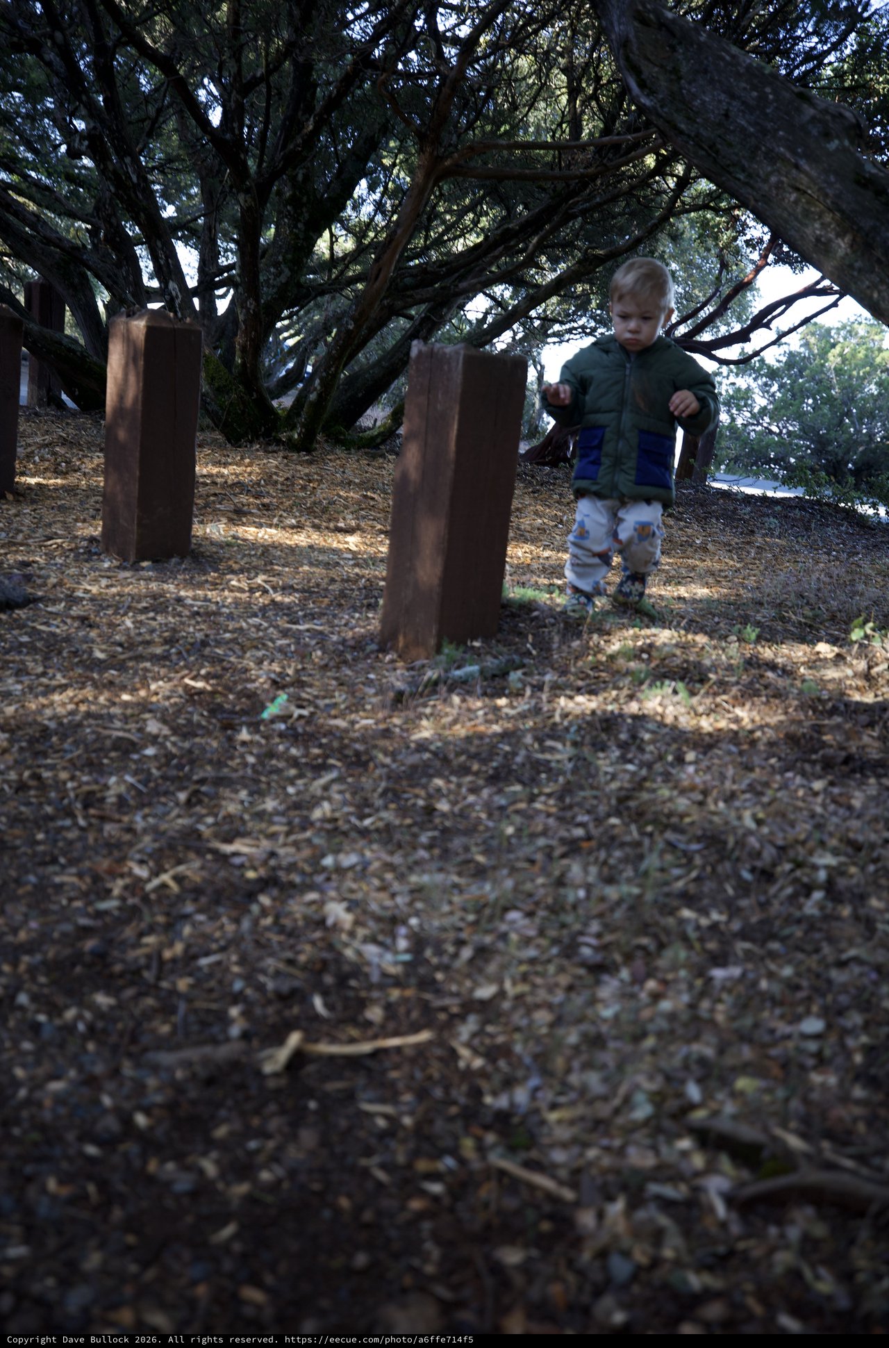Young Explorer Among Rustic Posts at Mount Diablo