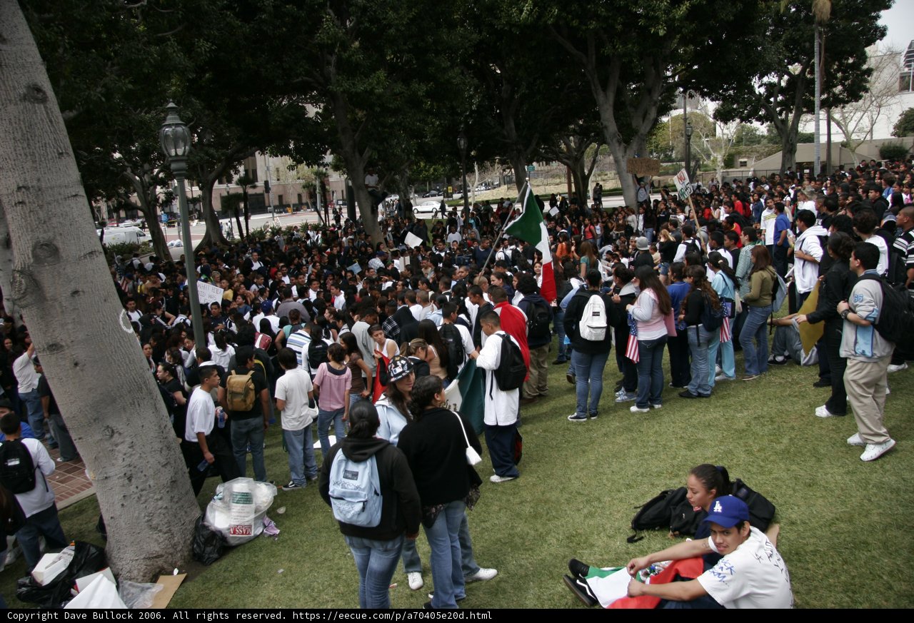School Walkout Protesters Gather in the Grass