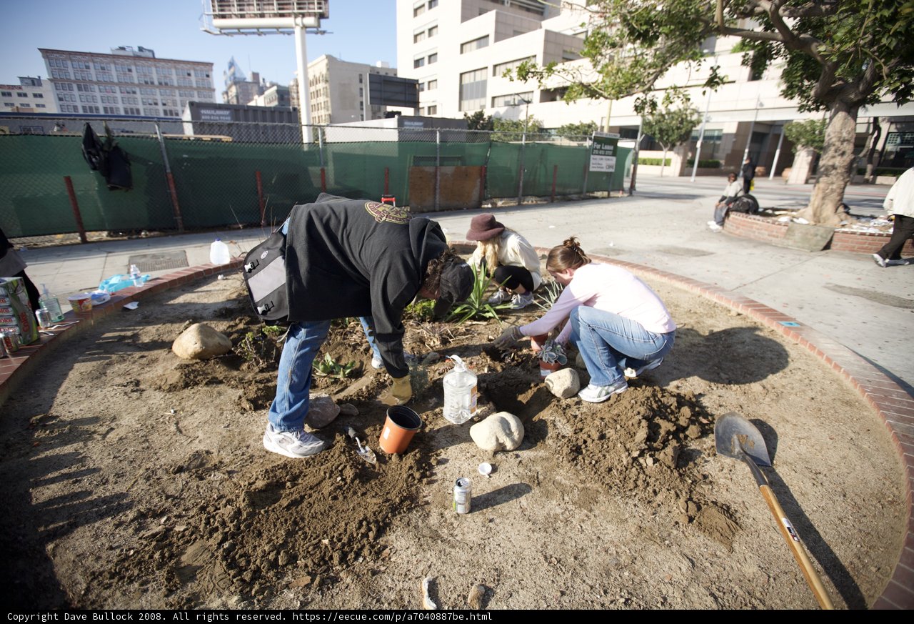 Planting for a Better Future