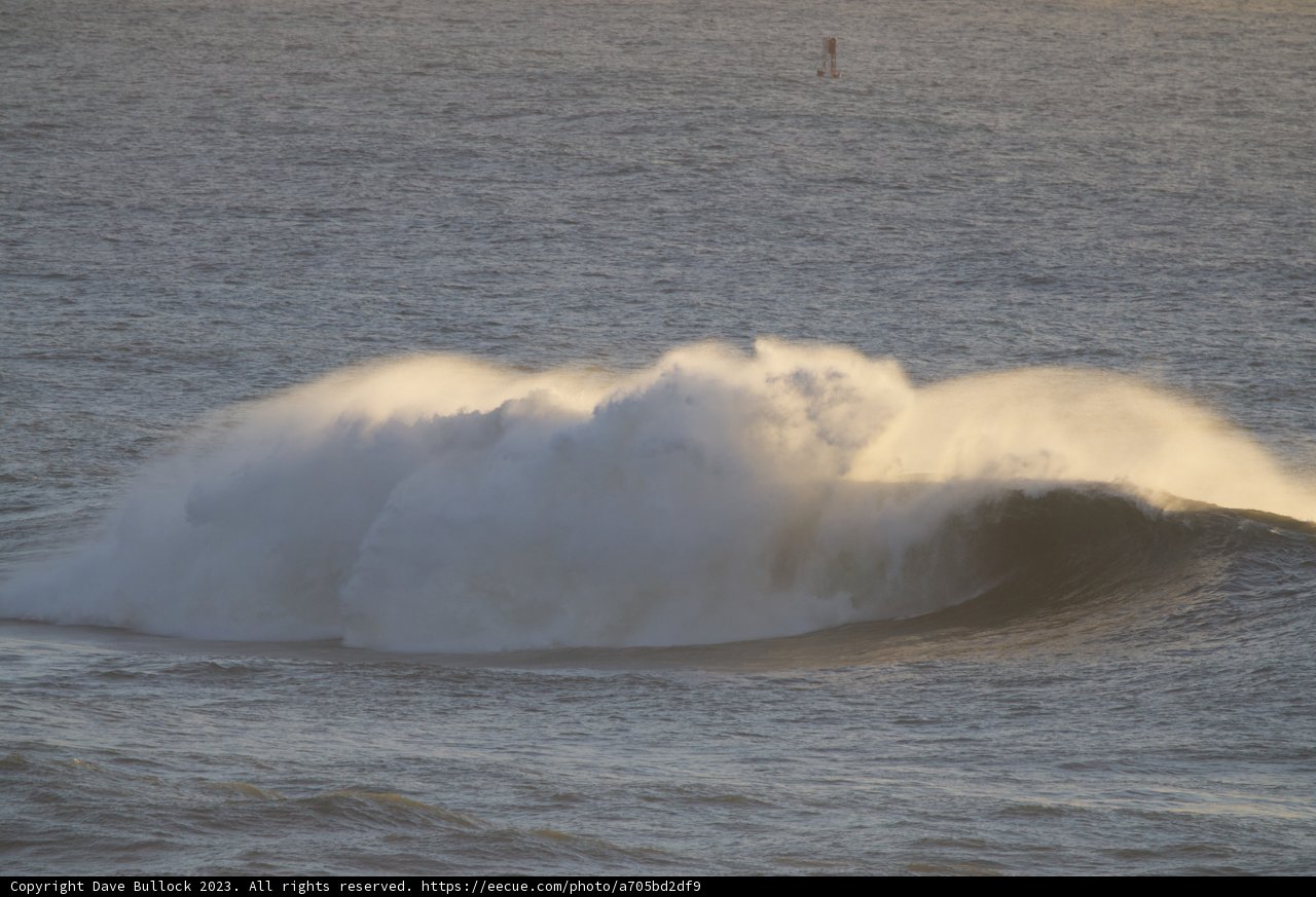 Majestic Force of the Pacific