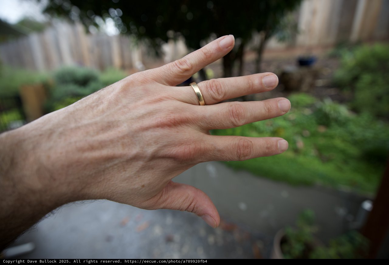 Hand with Wedding Ring in Garden Setting