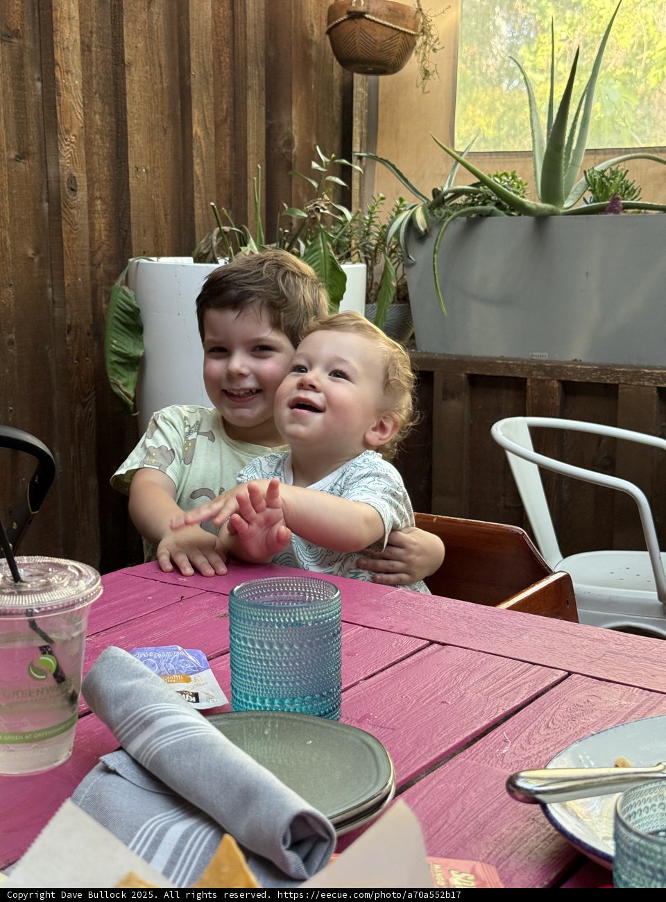 Joy in a Summer Afternoon