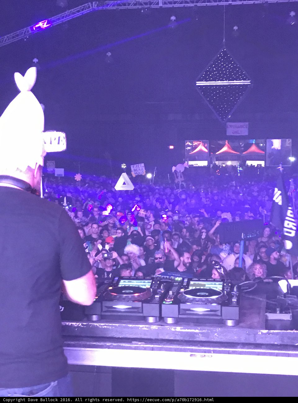 The Night Comes Alive
