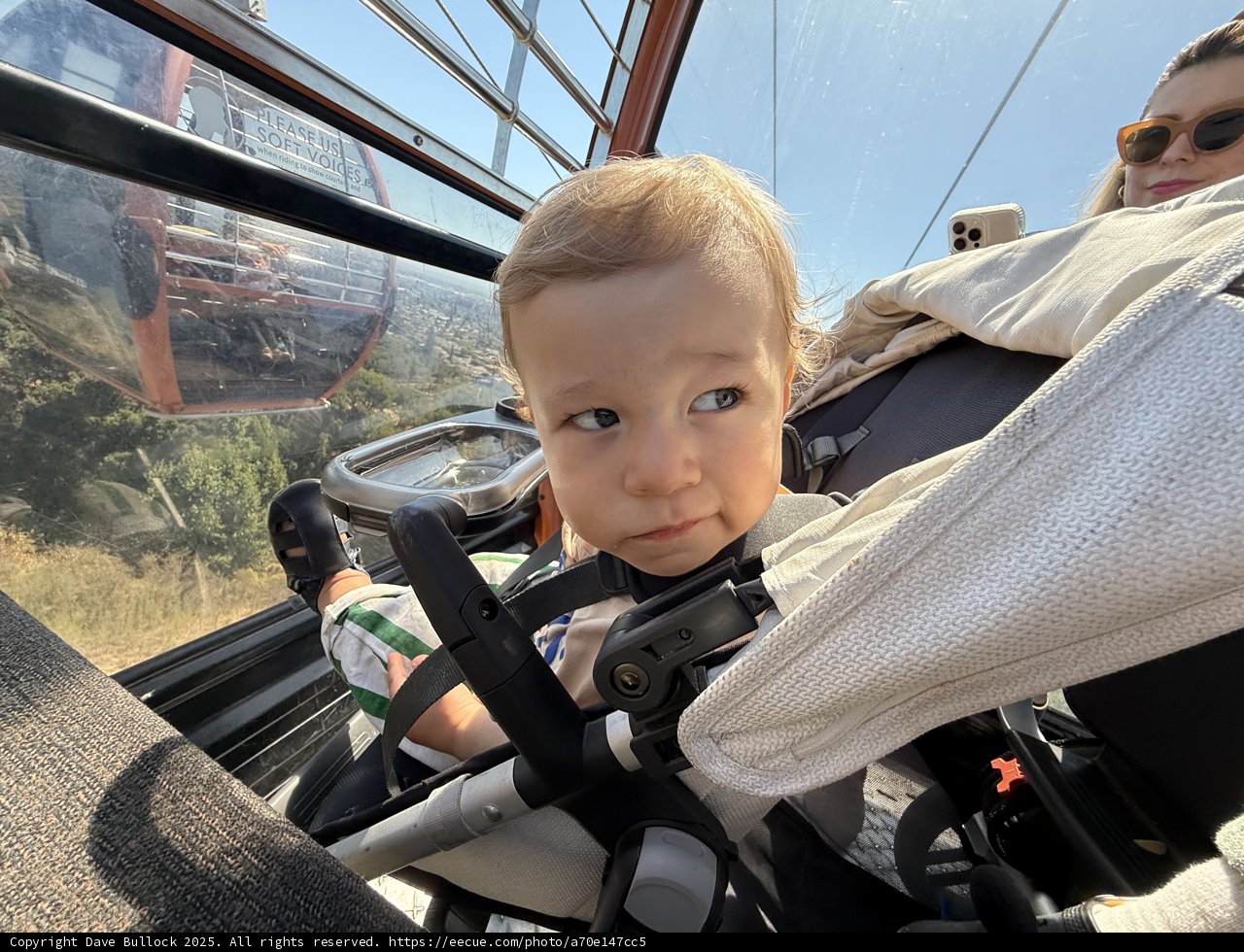A Day at the Zoo