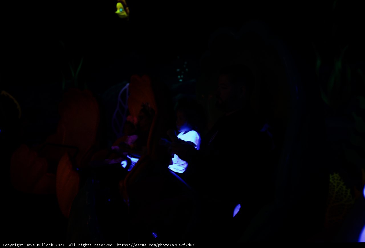 Magical Undersea Adventure with Wes