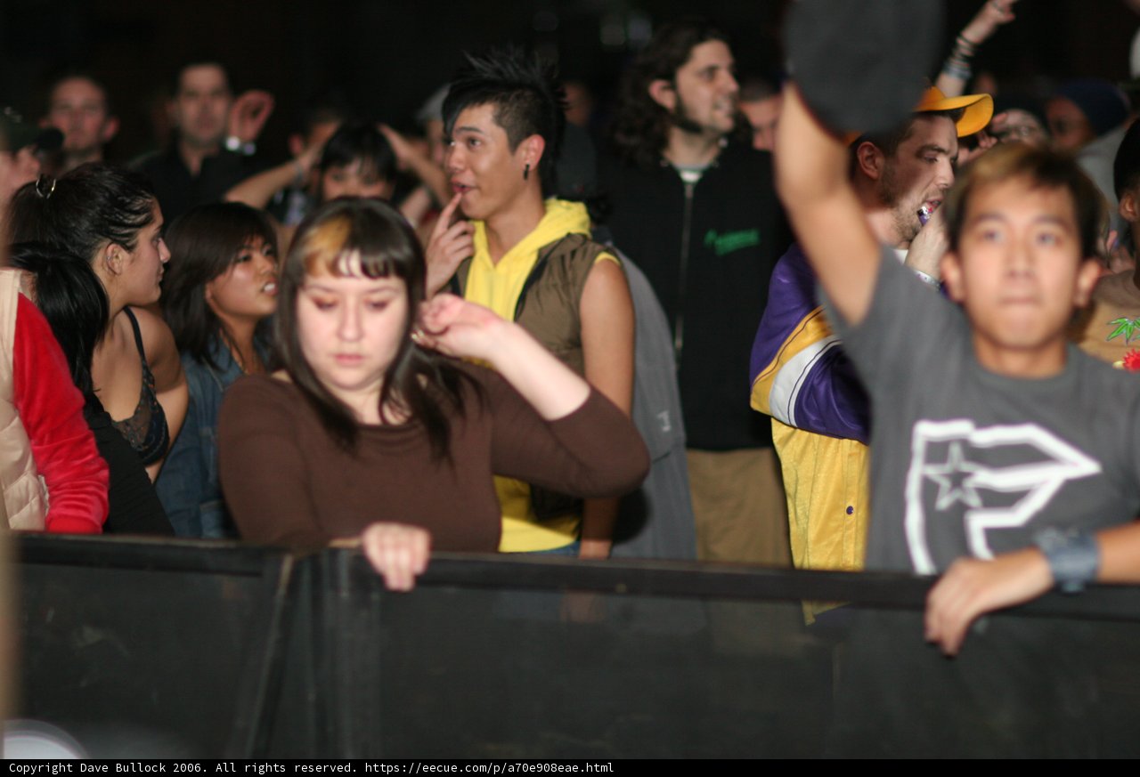 Crowd at a Concert