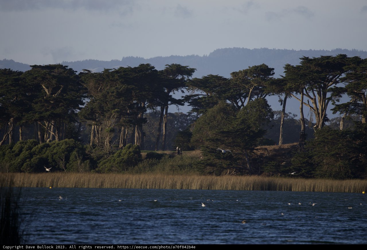 Sunset Serenade at Lake Merced