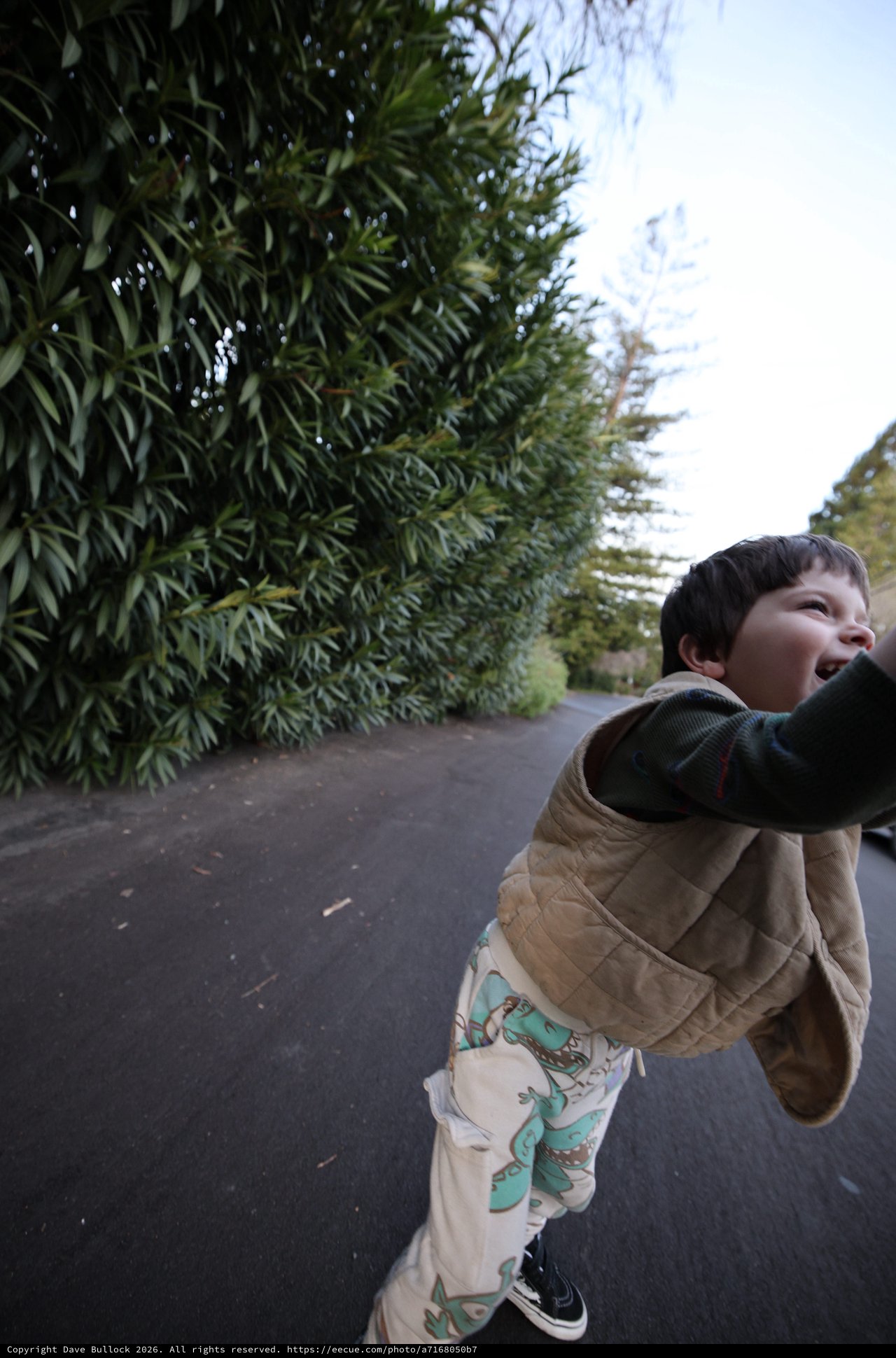 Young Boy Running Joyfully Down Tree-Lined Path