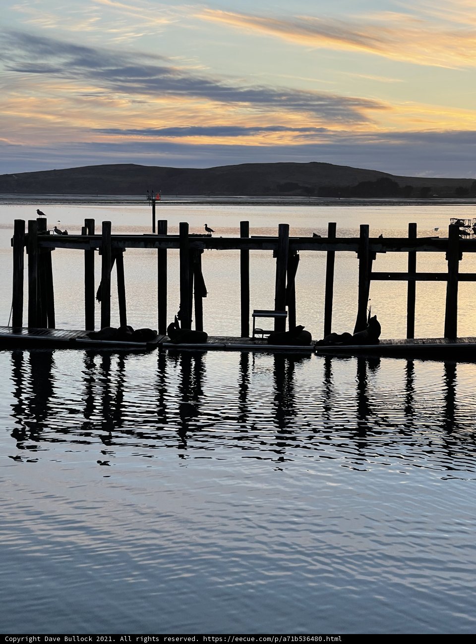 Sunset at Bodega Bay Pier