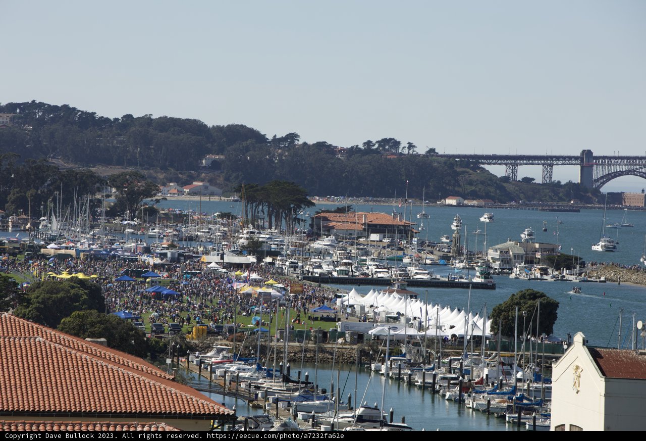 Vibrant Marina Life at Great Meadow Park