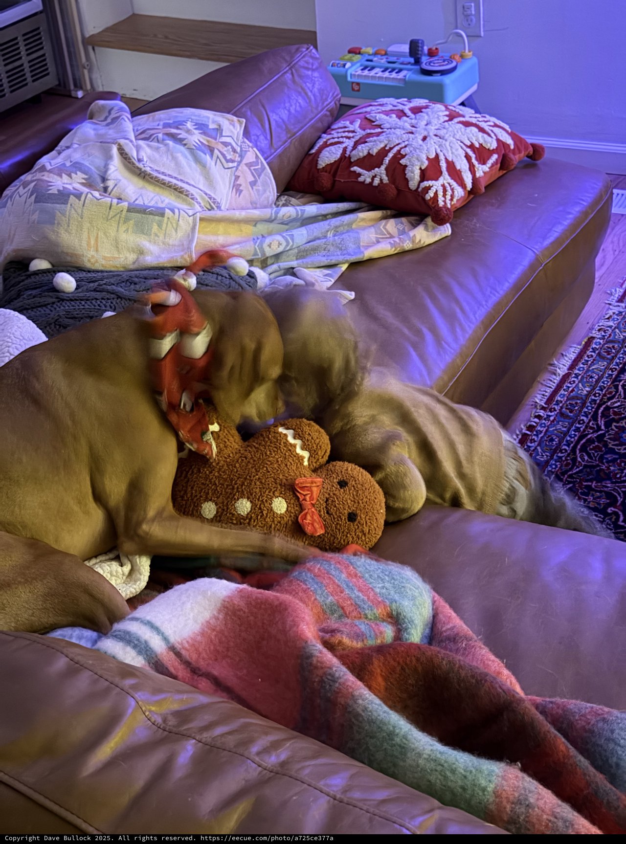 Golden Retriever Cuddling with Gingerbread Plush Toy at Dawn