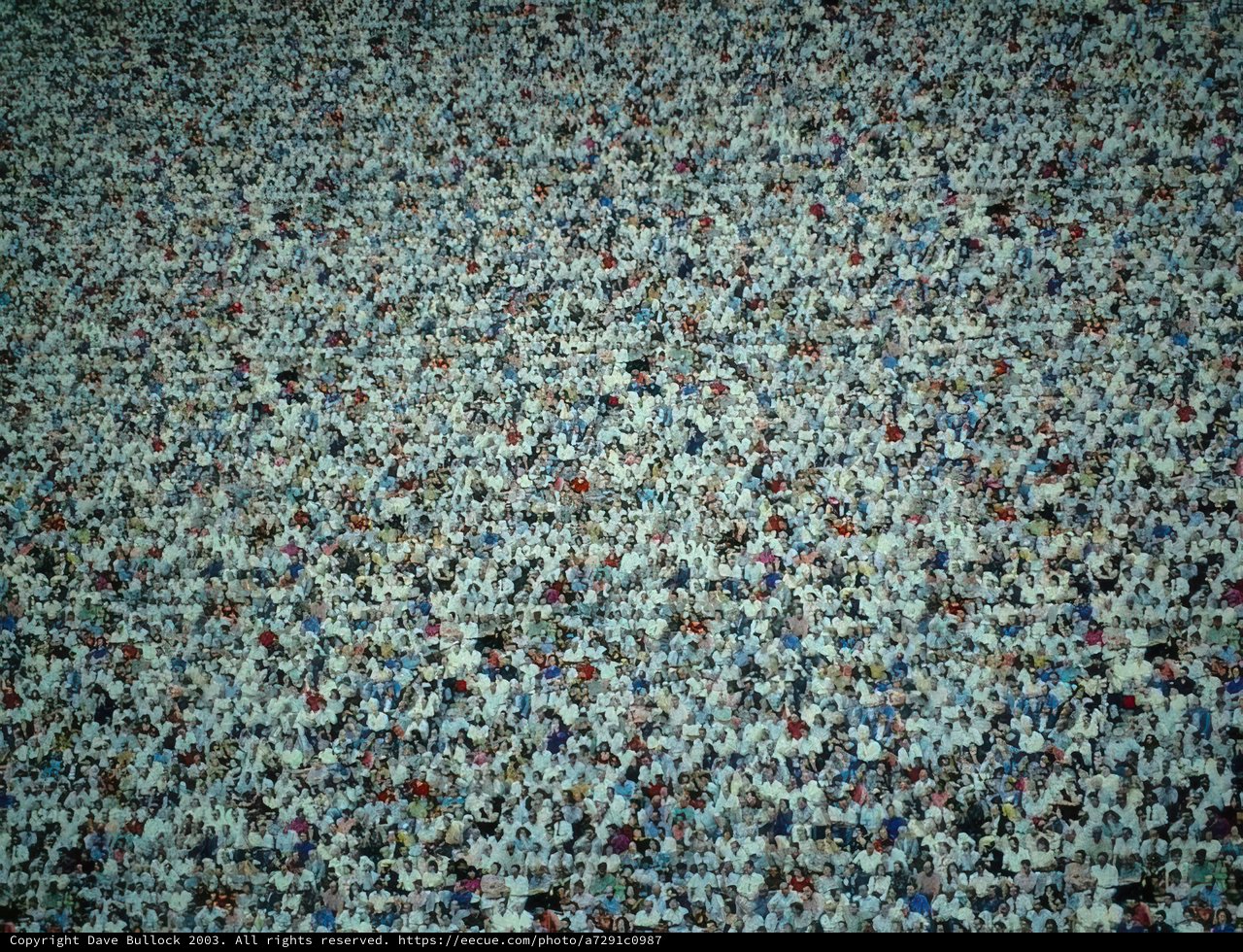 The Multitude of Shinjuku