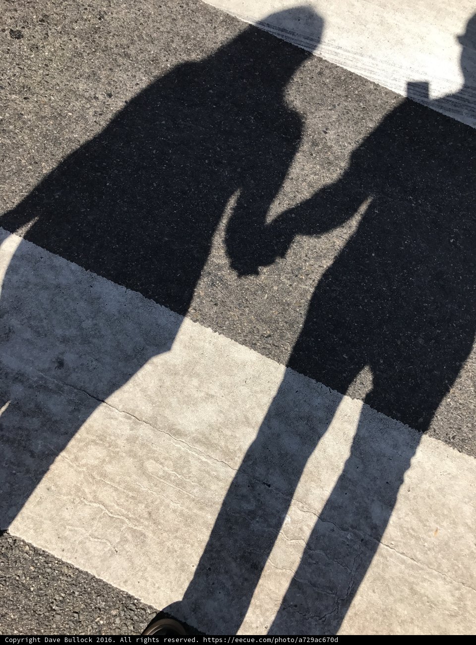 Crossing Paths