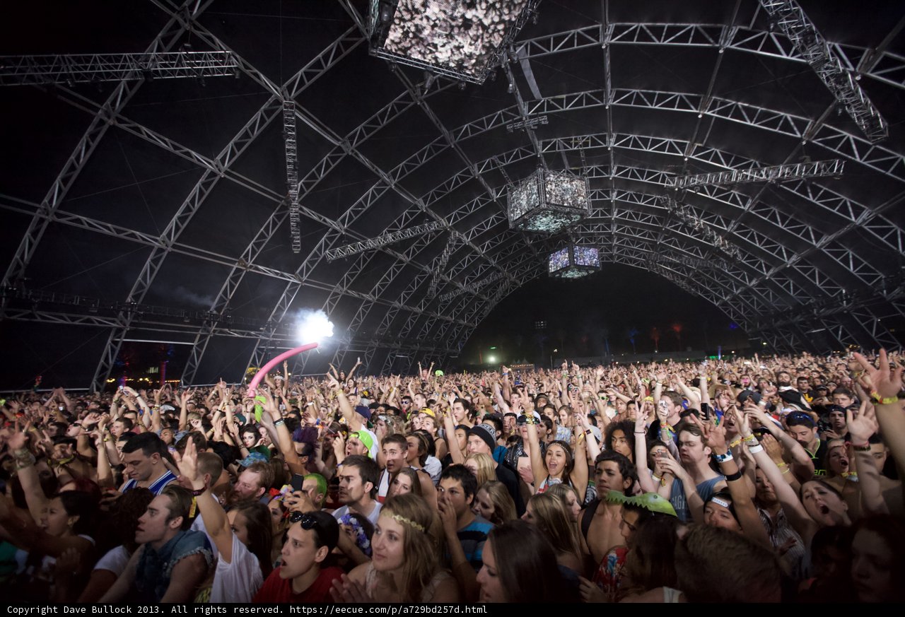 Hands Up in the Crowd