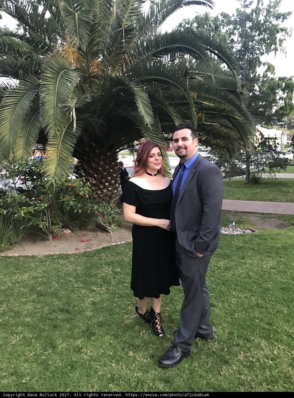 Formal Attire amongst the Palms