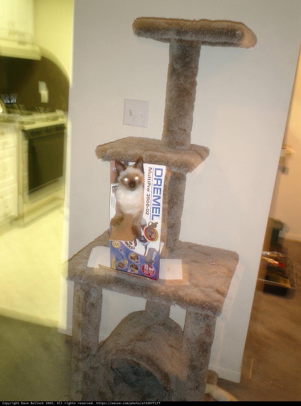 Feline Furniture