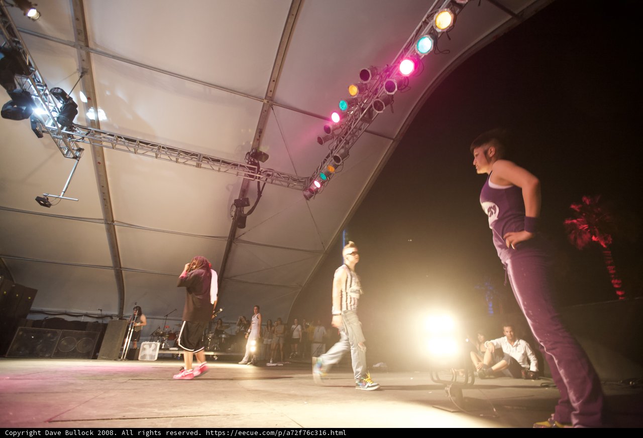 Bertie Blackman rocks the Coachella stage at night