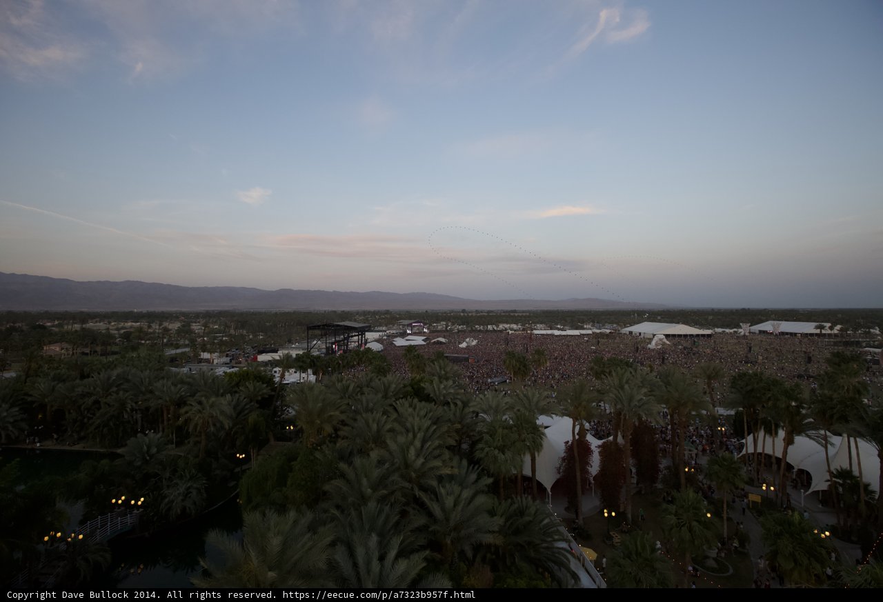 Majestic Palms and Mountain Scenery