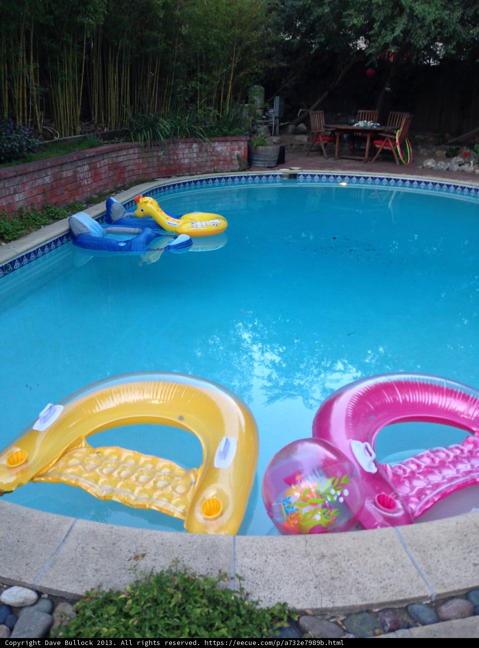 Summer Fun in Altadena Pool