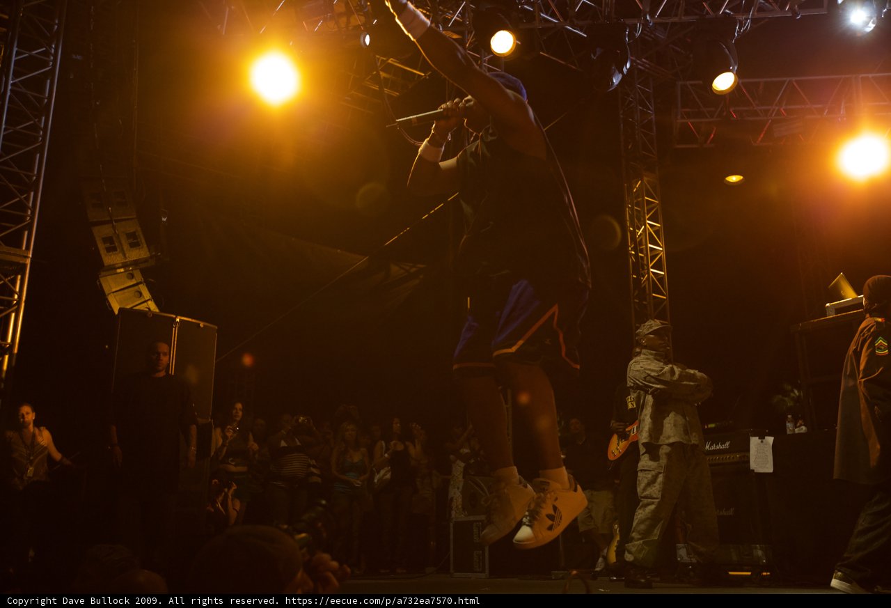 High-Flying Entertainer