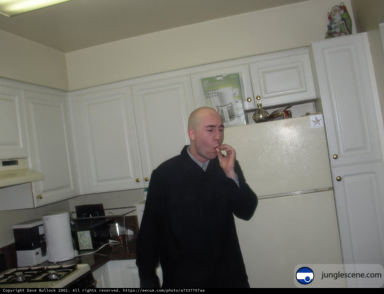 Kitchen Portrait
