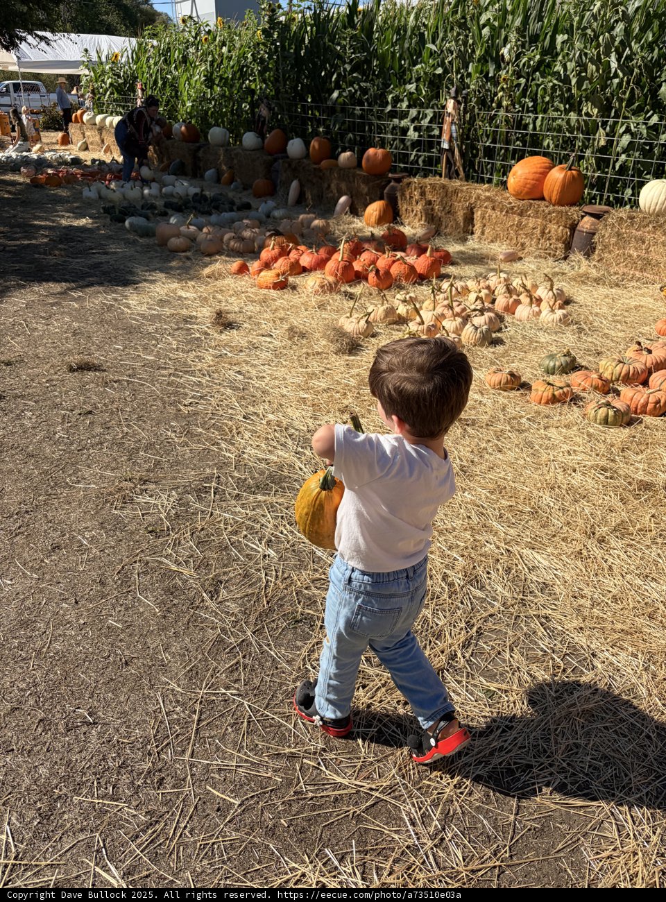 Fall Harvest Adventure