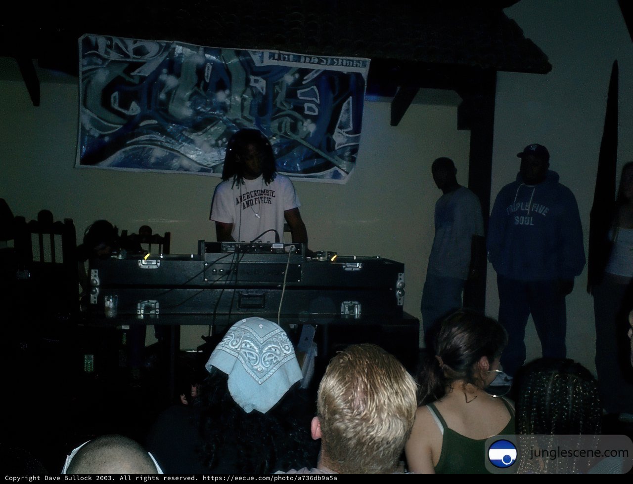 DJ Jamming Out in a Packed Crowd
