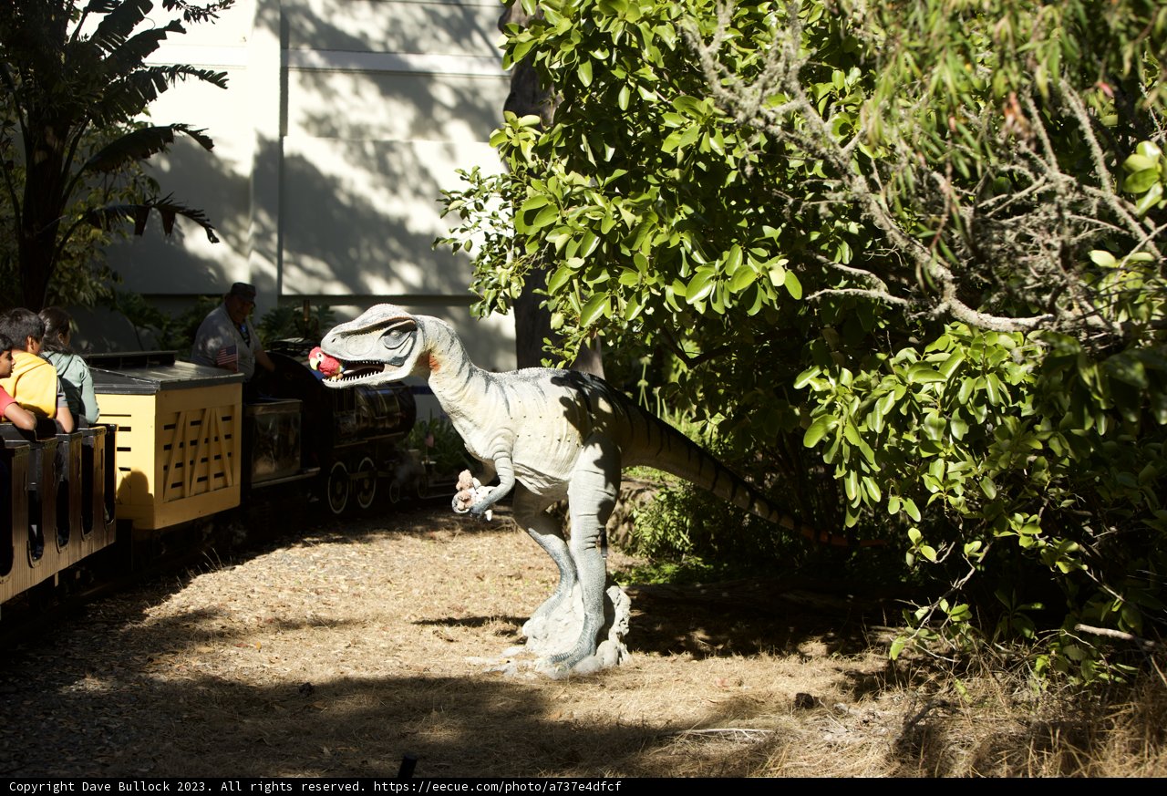 Roaring Express: A Unique Encounter at San Francisco Zoo & Gardens