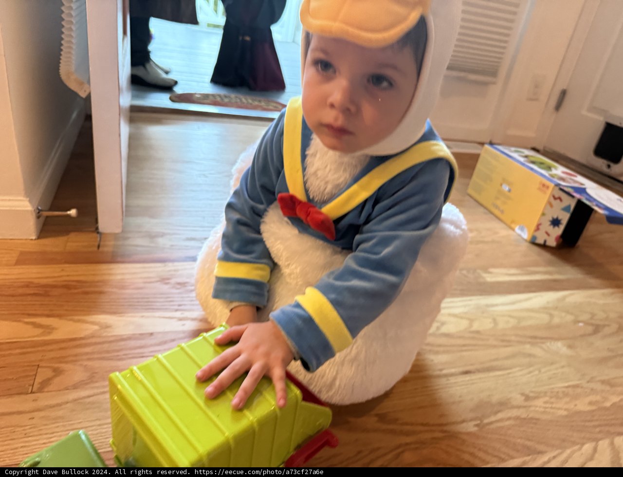 Little Duckling in Action