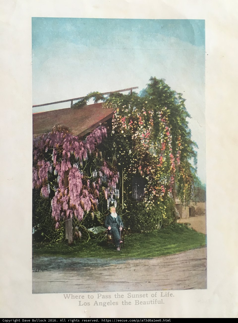 Vintage postcard of a woman in a garden