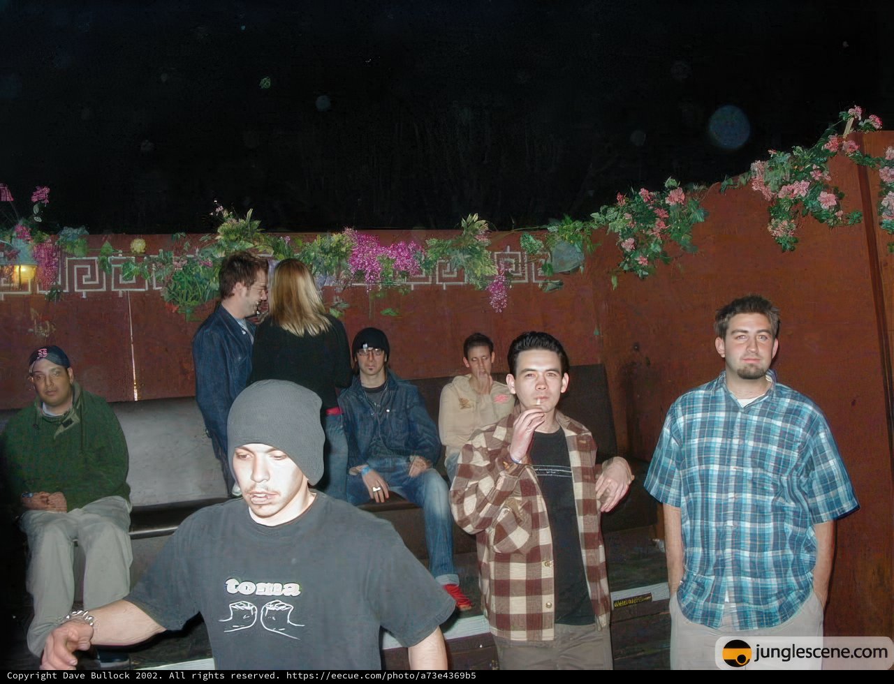 Nighttime Gathering