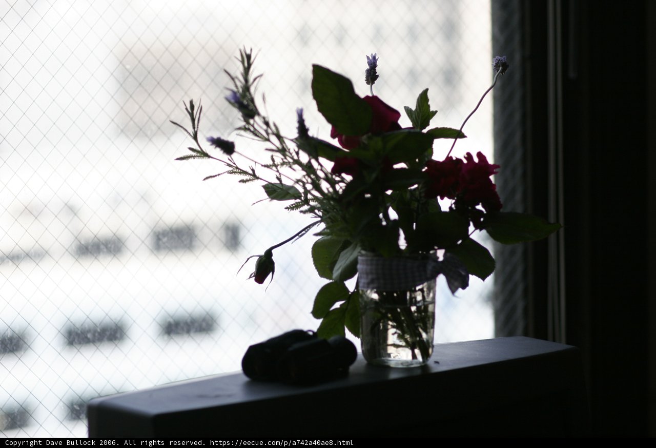 Window Sill Blooms