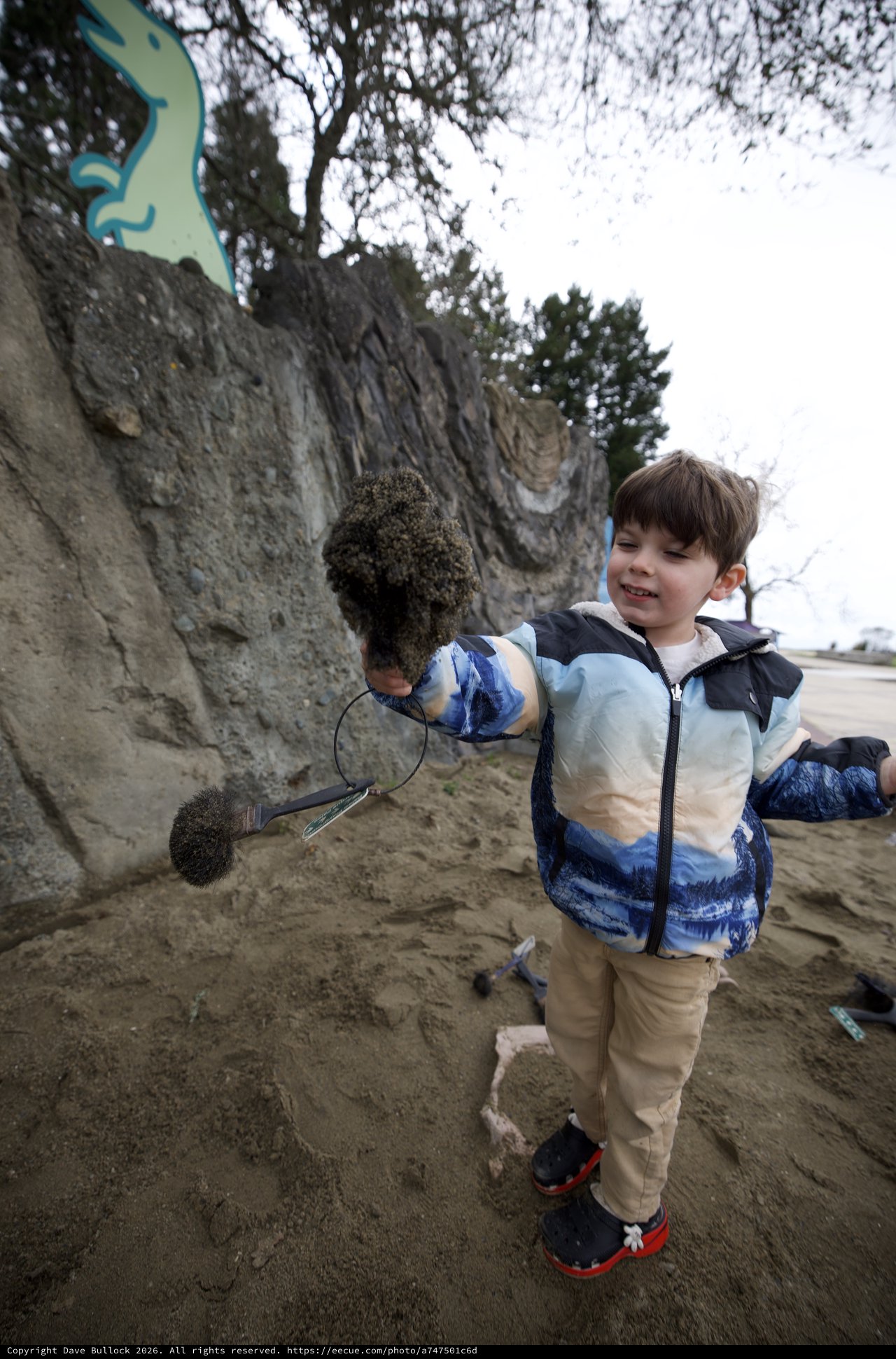 Young Boy Discovers Marine Life at Sandy Beach