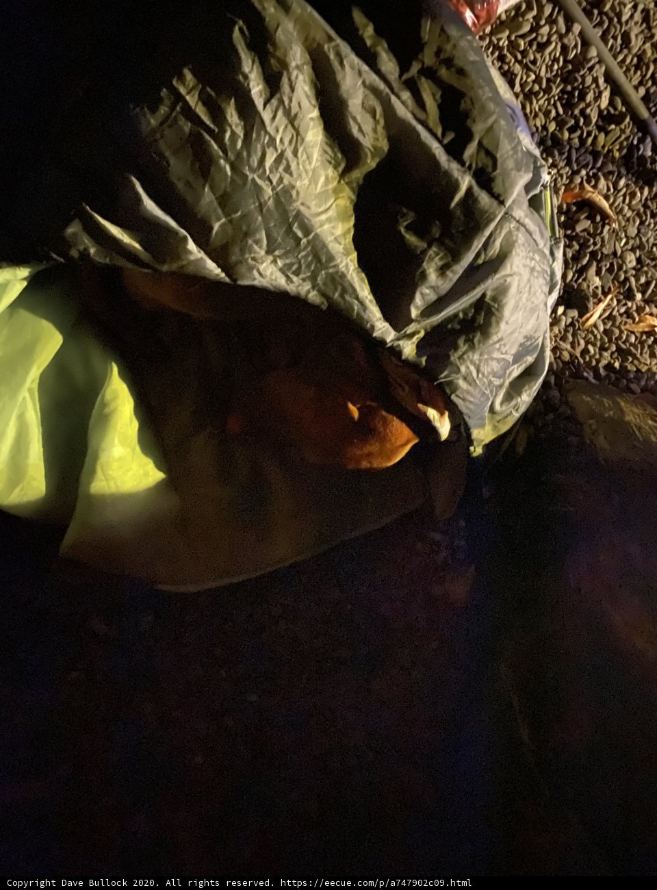Environmental Concerns: Bag of trash found on the ground