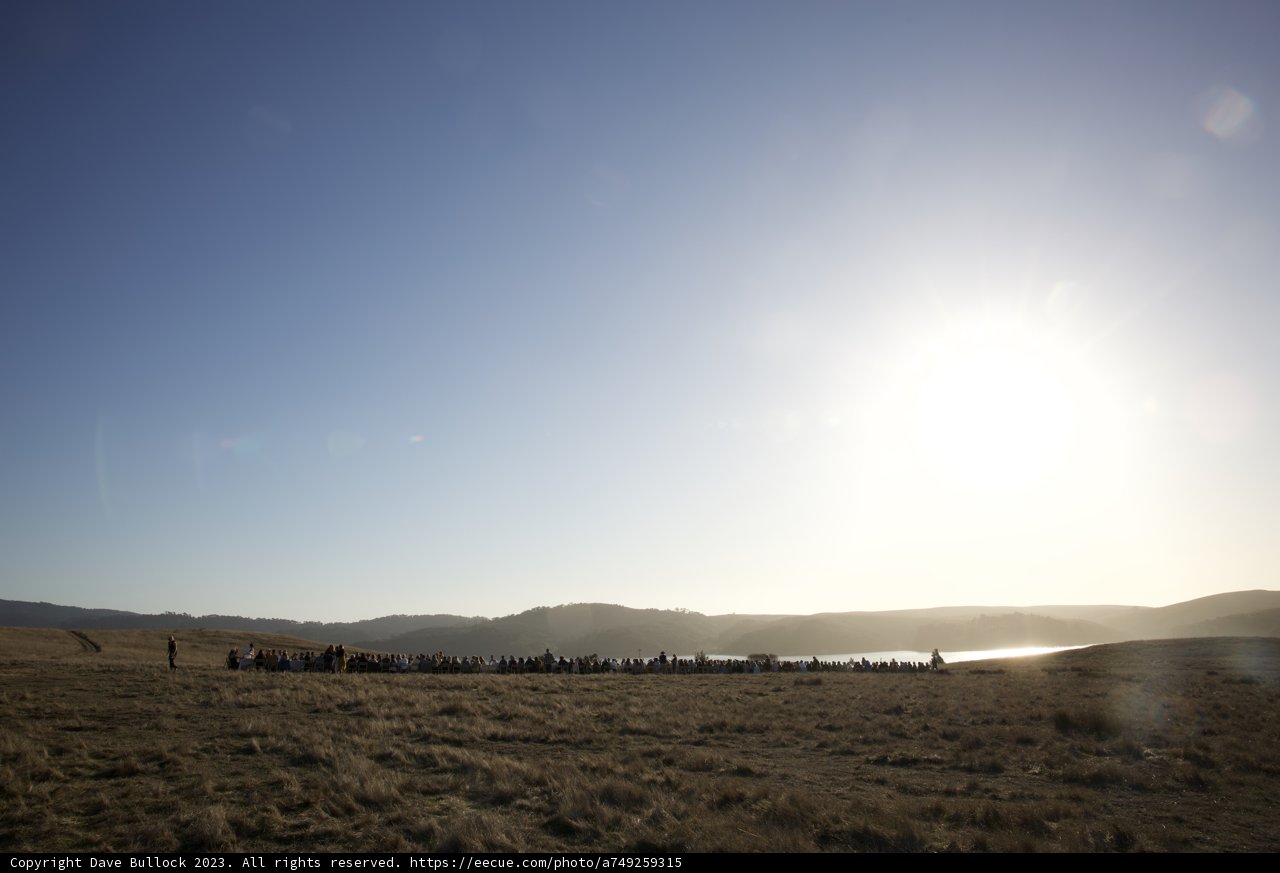 Unified Under the Sun: A Verdant Gathering in 2023
