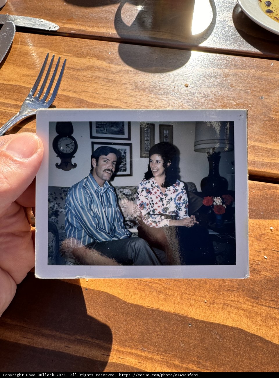 Capturing Memories in Polaroid