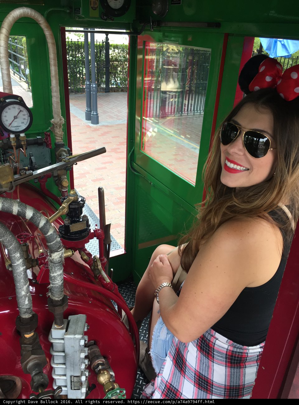 Mickey Mouse Adventure