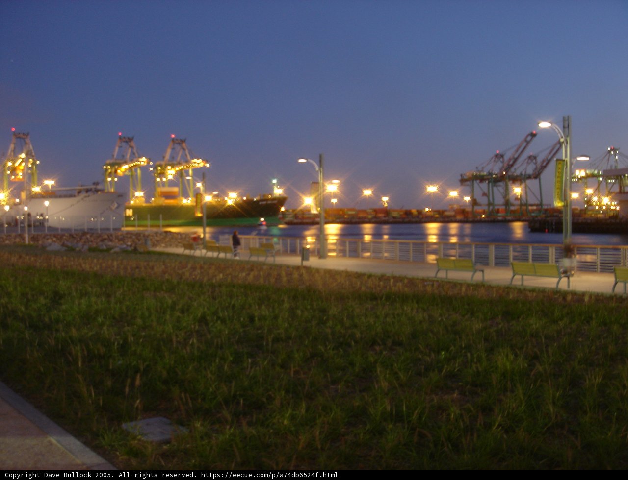 Serene Waterfront in a Bustling Metropolis
