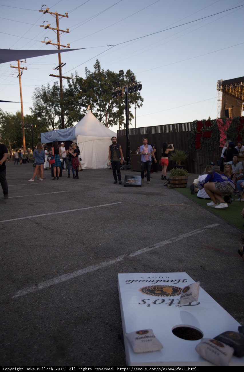 Cornhole Game Gathering