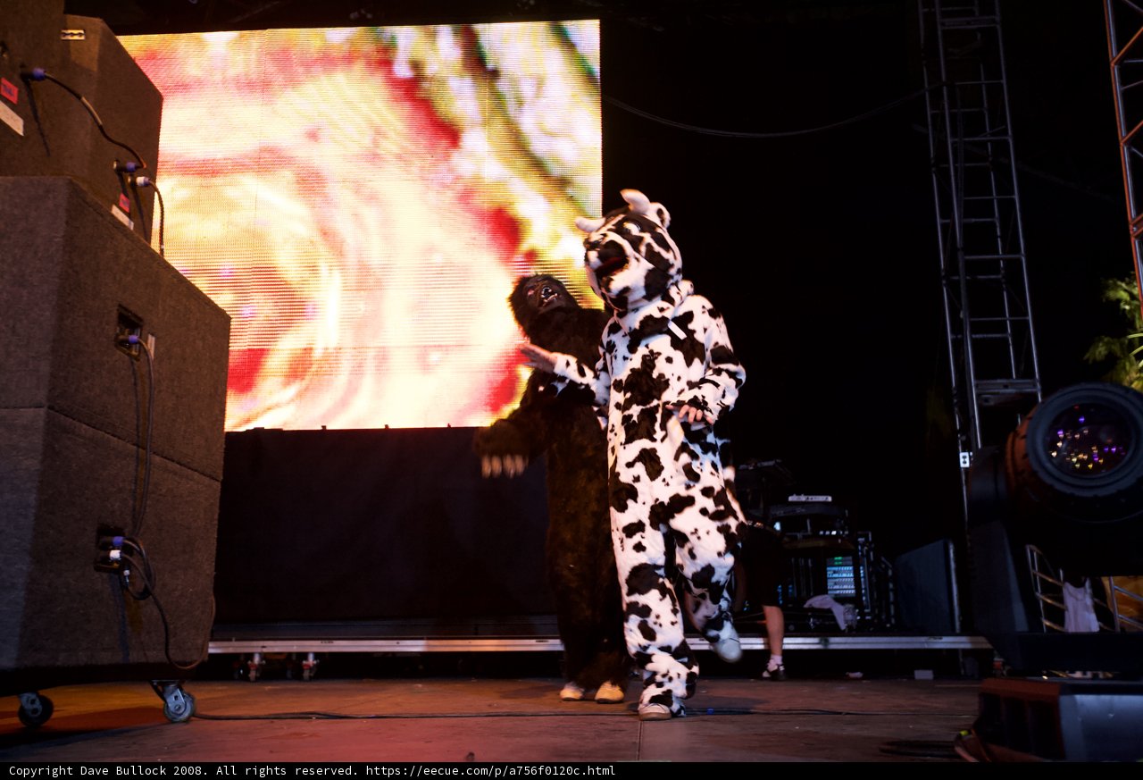 Dancing Cow Takes Over Coachella Stage