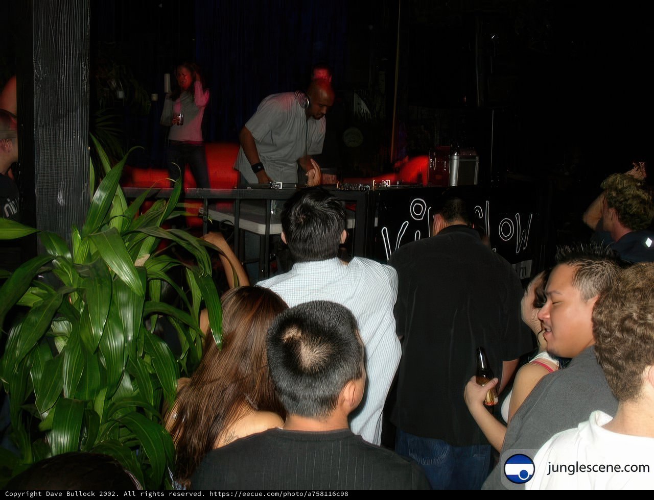 Night Club Party with DJ and Crowd