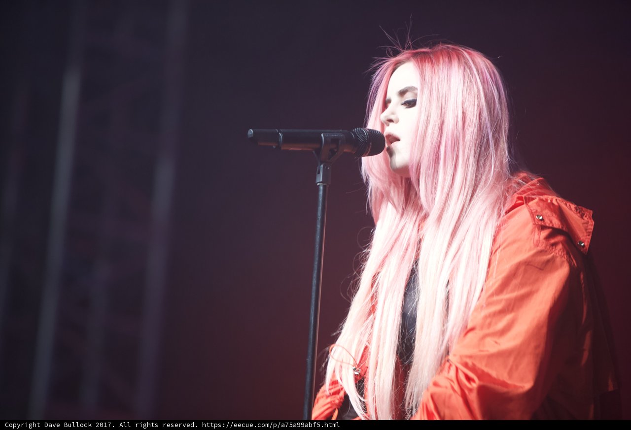 Pink Haired Singer Takes Coachella Stage