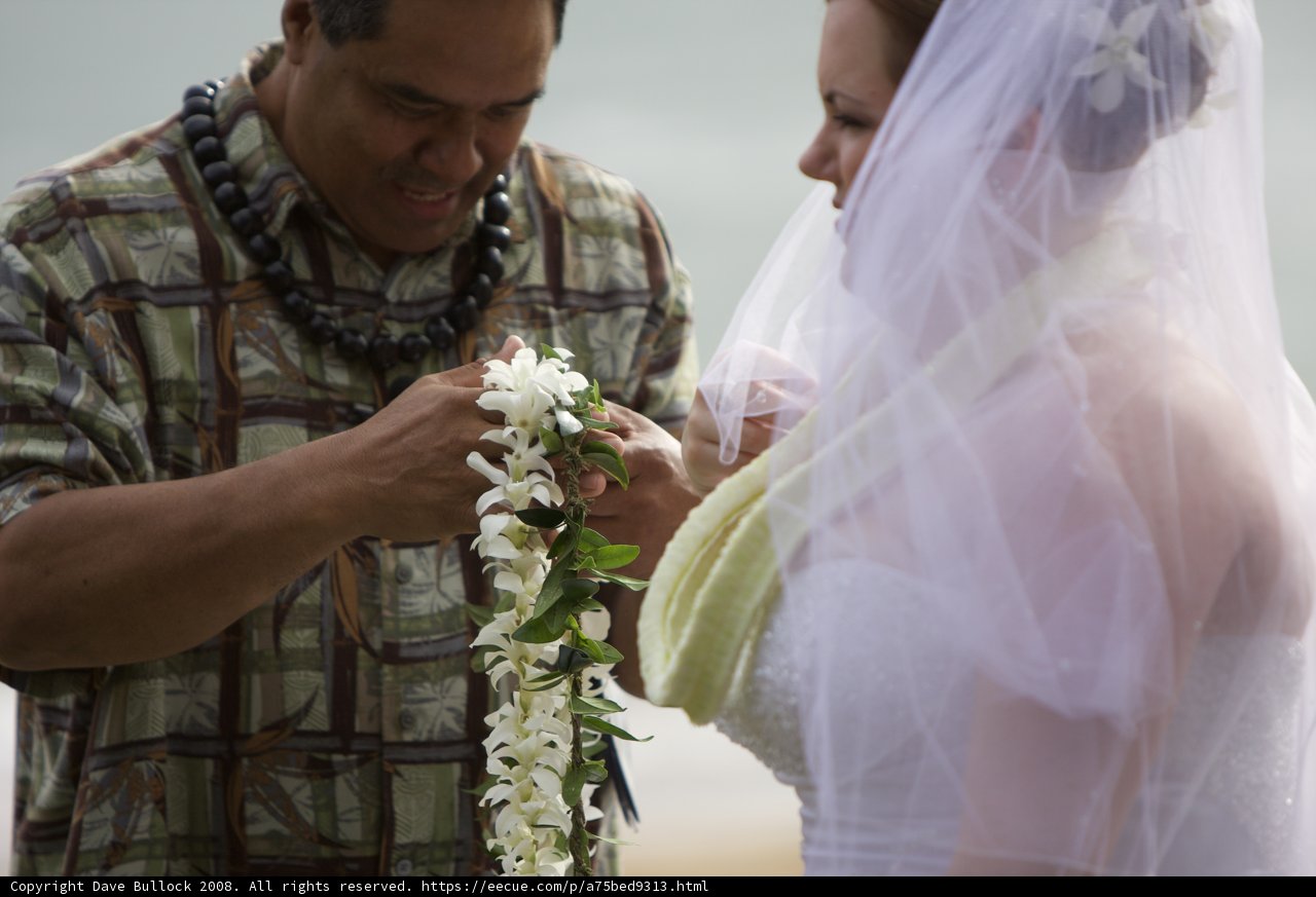 Hawaiian Wedding Ceremony