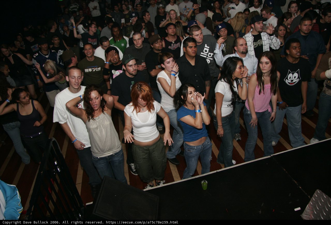 The Electric Crowd at the Respect and Art Ride Concert