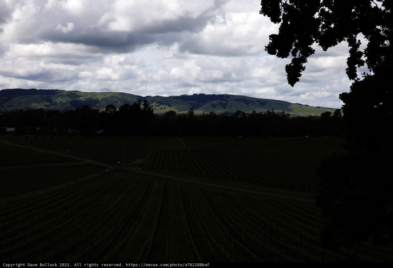 Majestic Vineyards of Sonoma