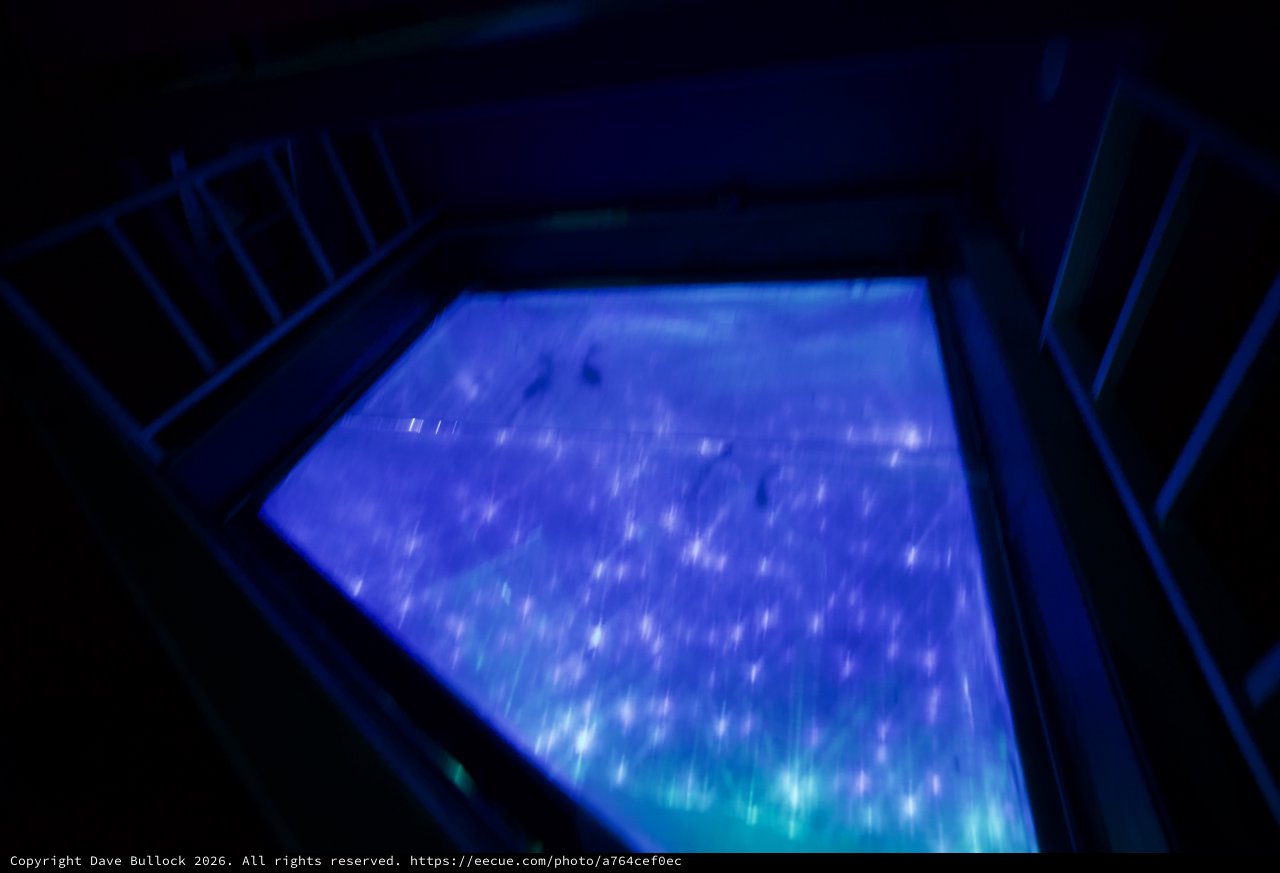 Ethereal Blue Light Installation in Darkened Gallery