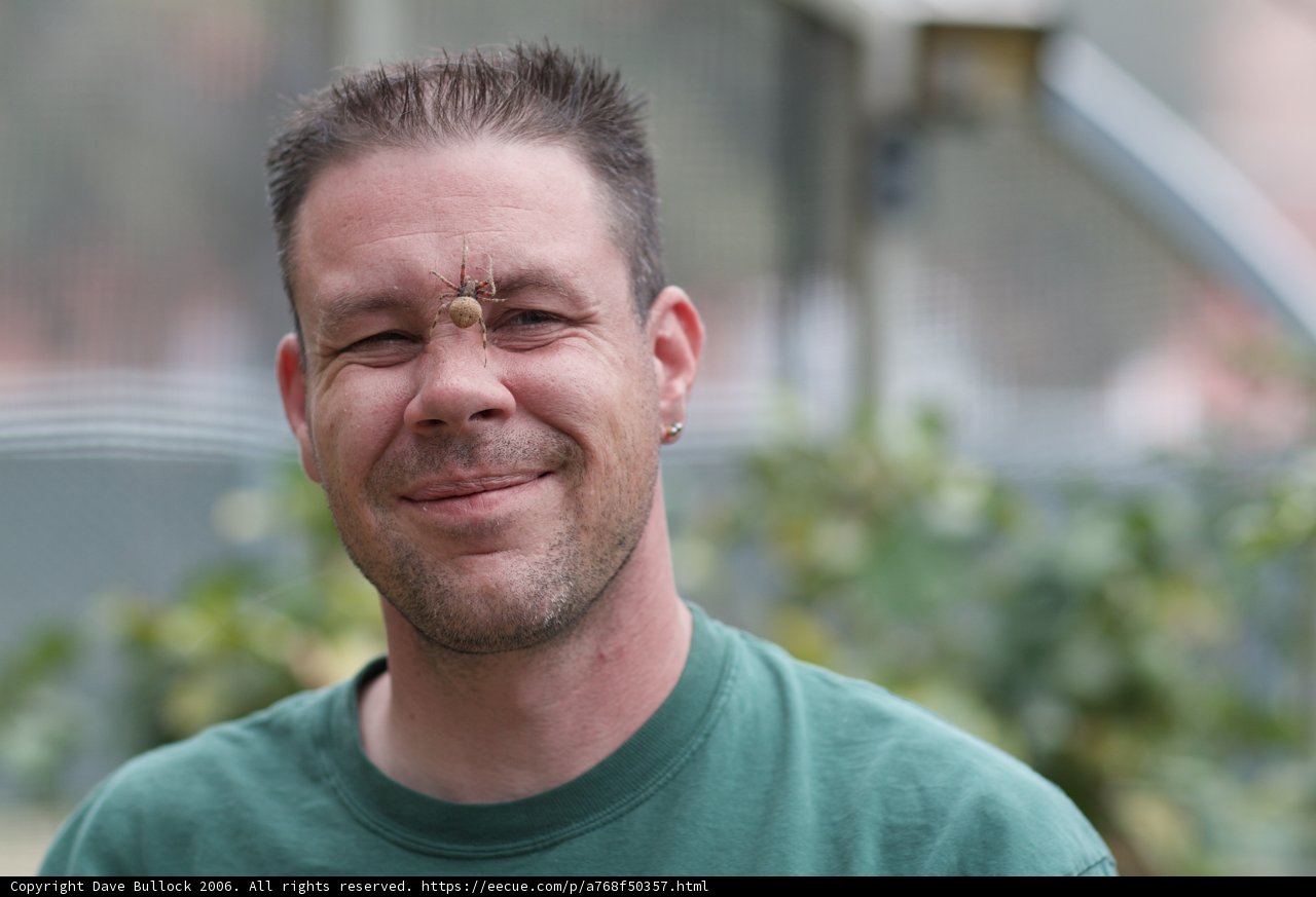 Grinning Green