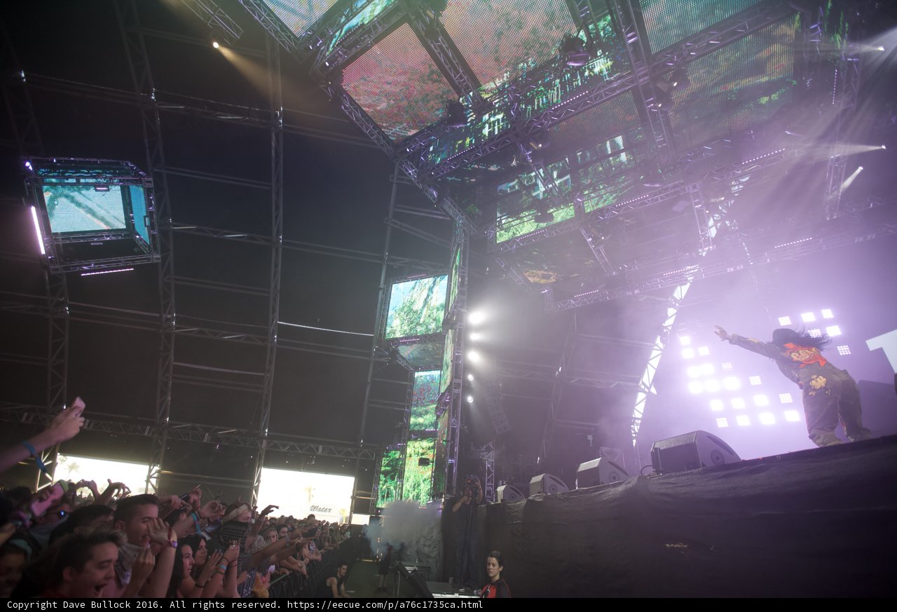 Rocking the Crowd at Coachella