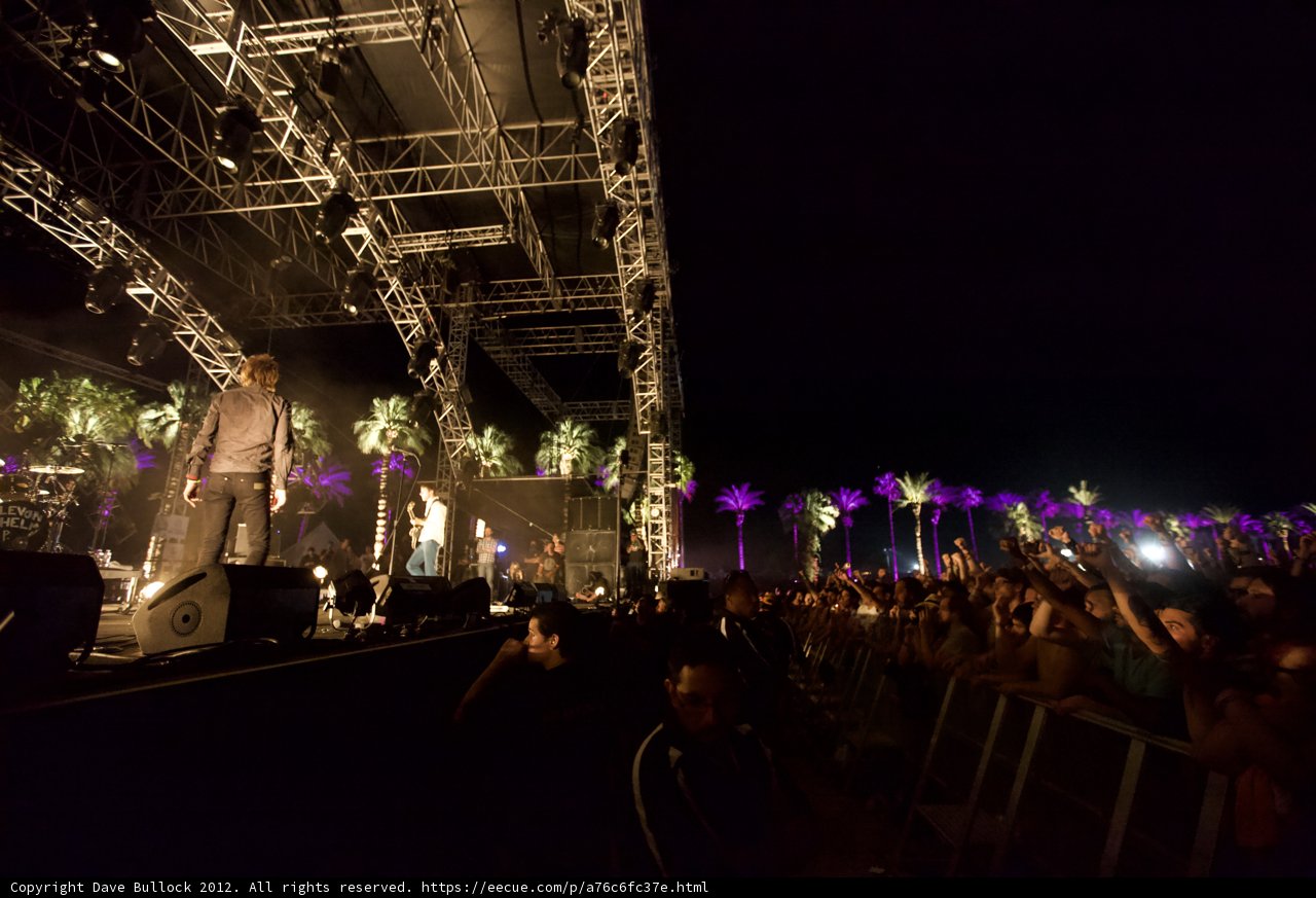 Rocking under the Palm Trees