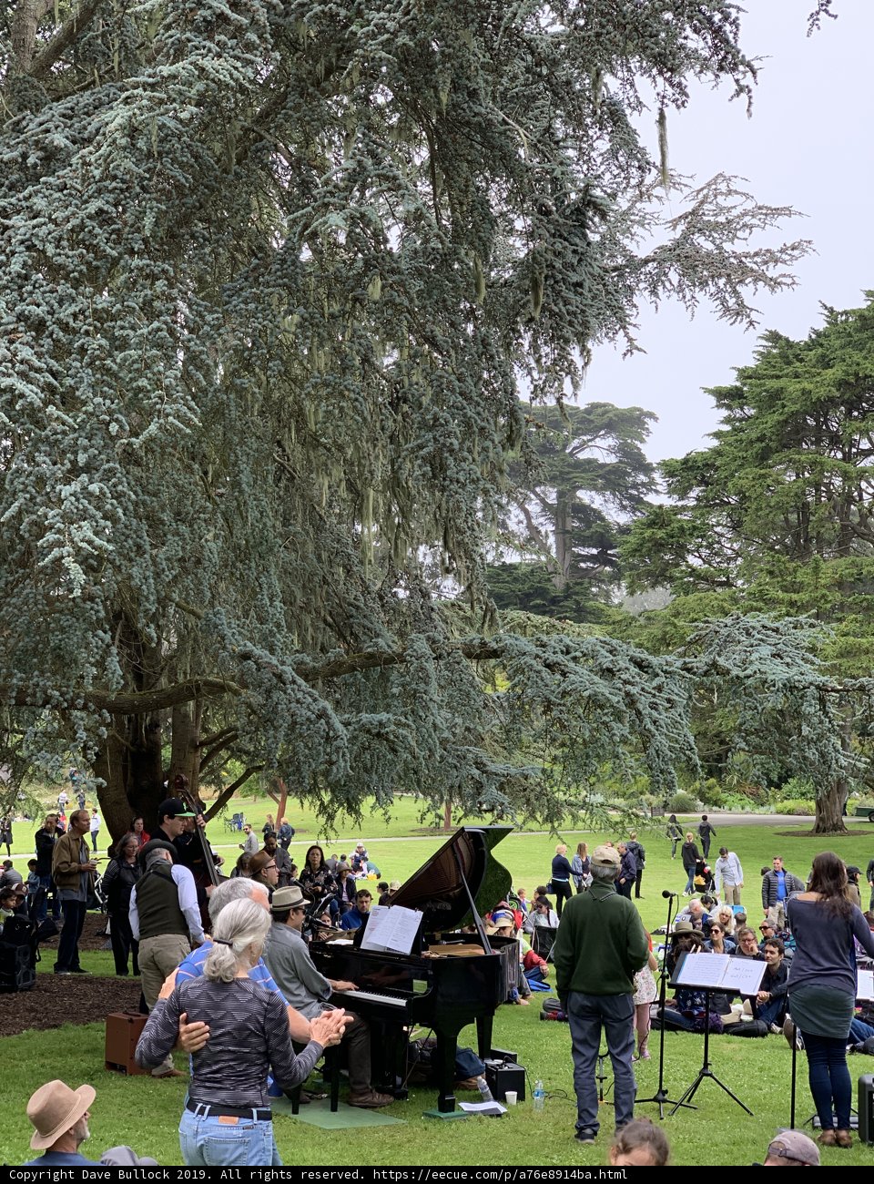 Music in the Park